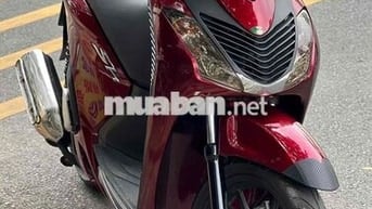 Sh lên áo ý 125i đẹp chất giá rẻ