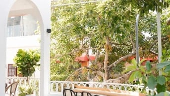 CHO THUÊ NHÀ LÔ GÓC TT CẦU GIẤY - PHỐ NGUYỄN THỊ ĐỊNH - 520M2