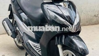 SYM shark biển 71