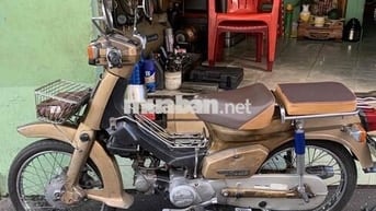 Cub 84 50cc