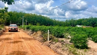 8 LÔ ĐẤT NGỘP TP.HCM CẦN TÌM CHỦ NHÂN
