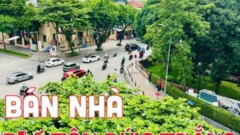 Mặt phố Tôn Đức Thắng phường Cát Linh 45m 6 tầng chính chủ cần bán