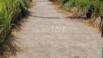 👉 Cần bán gấp đất thổ cư 5x23m Long Khê, gần KCN Cầu Tràm, chỉ 1.25