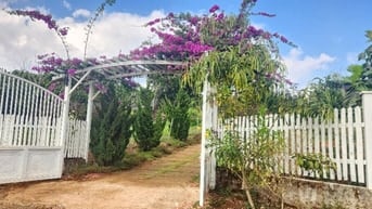 nhà biệt thự vườn 6000m2 ven đà lạt