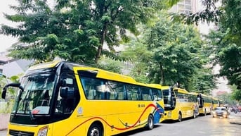 Tuyển lái xe bằng D lái xe 16, 29 chỗ, có thể  đi làm luôn