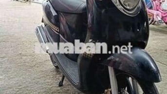 Xe nhập nguyên con thái lan