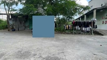 Bán nhà 4 tầng 8x20m full thổ cư, 10 phòng đang cho thuê, Nguyễn Văn T