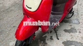 XE FIGIORMON Giấy tờ đầy đủ