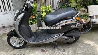 elit 50cc xe bstp 9 chủ