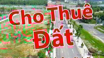 Cho Thuê Đất : gần chợ Thuận Đạt - Bình Chánh. dt : 900 m2