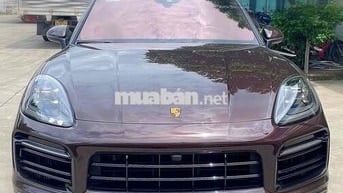 Porsche Cayenne 2023 Coupe Platinum Edition - 1100