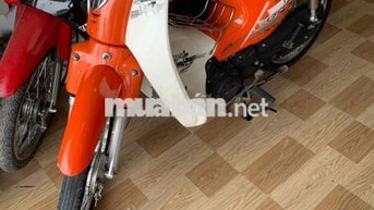 cup 50cc 2022