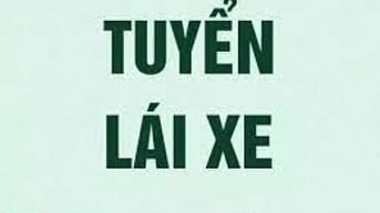 Tuyển lái xe gia đình, rành đường tp, tỉnh lân cận 