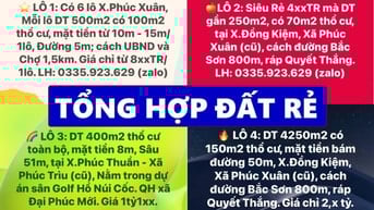 Tổng hợp đất chính chủ giá rẻ tại Phúc Xuân - Phúc Trìu, Thái Nguyên