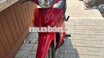 Staurrisu Nhật giấy tờ đầy đủ