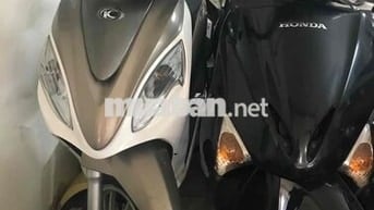 kim cô 50 cc