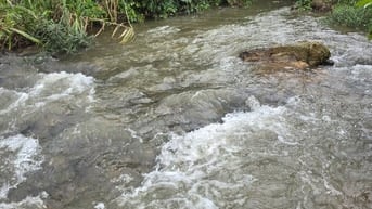 Bán Đất Giáp Suối Đá Lớn - Có Thổ Cư - Mặt Tiền Đường Nhựa Liên Xã