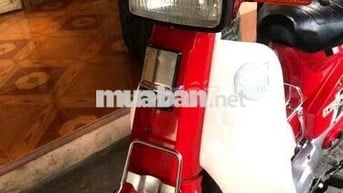 --- Cúp Nhật DD màu đỏ rất đẹp.