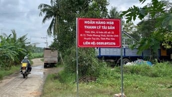 Công ty đấu giá hợp danh Sao Việt 