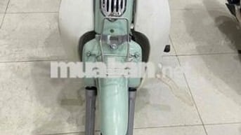 cup 50 cc