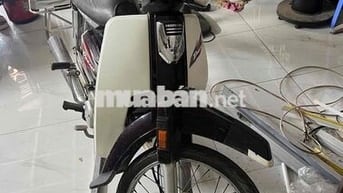 dream việt biển đẹp