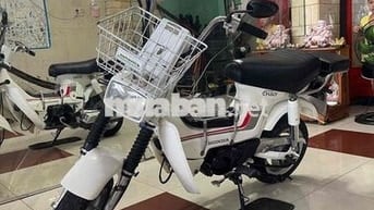 chaly nhật đèn vuông bstp