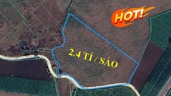 Bán đất 7390 m2 CHÍNH CHỦ - LÁNG DÀI - BÀ RỊA VŨNG TÀU