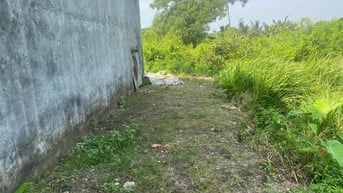 Bán đất sổ đỏ chính chủ tại Long Phước, Quận 9, TP.HCM – Vị trí đẹp