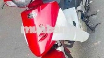 suzuki fx125
