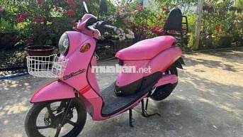 Lasssico máy đep nhu hinh