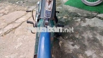 Cub 50 cc cực ngon