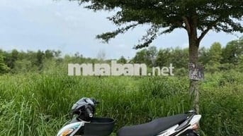 em cần bán xe exciter siêu lước mới keng