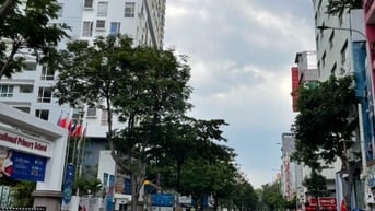 Tòa nhà MT Cao Thắng, P.Vườn Lài. DT 8x18m, 6 tầng-65 tỷ