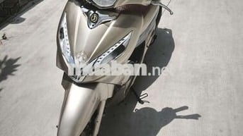 Shark 170cc 2 đĩa 9c