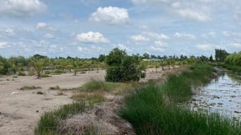  Bán gấp đất nhà vườn Phước Khánh Nhơn Trạch giá rẻ 1,8ty/2900m, sông