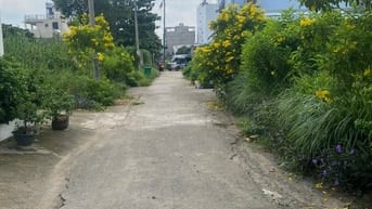 Bán đất chính chủ hẻm 253 đường Vườn Lài, P.An Phú Đông, Quận 12