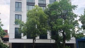 Cho thuê tòa nhà mặt phố Vương Thừa Vũ: 220m2, 1 hầm, 8 tầng