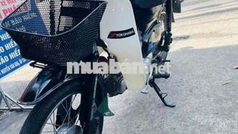 Honda cub  50 cc nhật êm