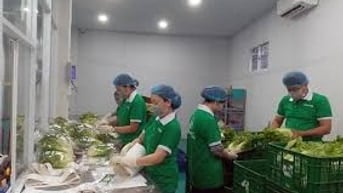 Chính chủ quận bình tân nhận LĐPT 