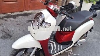 Honda Scoopy 110 bstp