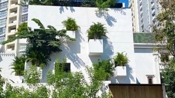 Biệt thự An Phú An Khánh giá rẻ 12x20m CN240m2 3 tầng sân thượng 56 tỷ