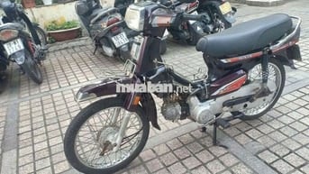 Xe dream Hàn Quốc bstp