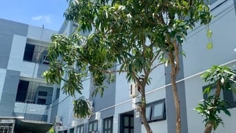 Nhà 34-44m2 mới xây Nguyễn Bình_LVL