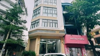 VIP - CHO THUÊ TÒA NHÀ 38 TRẦN KHẮC TRÂN, QUẬN 1 - 8x15 1 HẦM 4 TẦNG