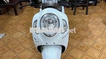 Bán scoopy chính chủ BS 65 xe cực mới