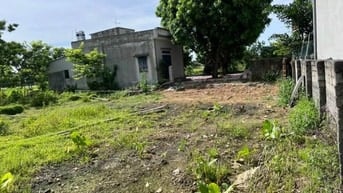 Hưng Thịnh, Trần Phú, Chương Mỹ