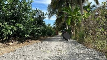 Bán Đất ấp Thạnh Hòa, Long Hưng, Châu Thành, Tiền Giang. 6,08x28= 170m