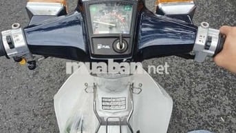 Cub 70