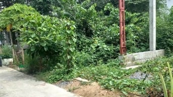 HIẾM – LÔ ĐẤT FULL THỔ CƯ – CẠNH KDC ANH TUẤN – 96M2 – GIÁ CHỈ 3,7 TỶ