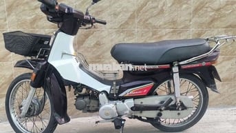 Xe Dream vô đồ nhiều biển 65